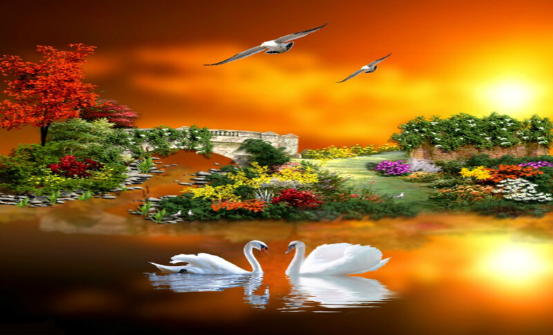 Two Swans on Water — Orange, Serene, Sunset, Digital Art
