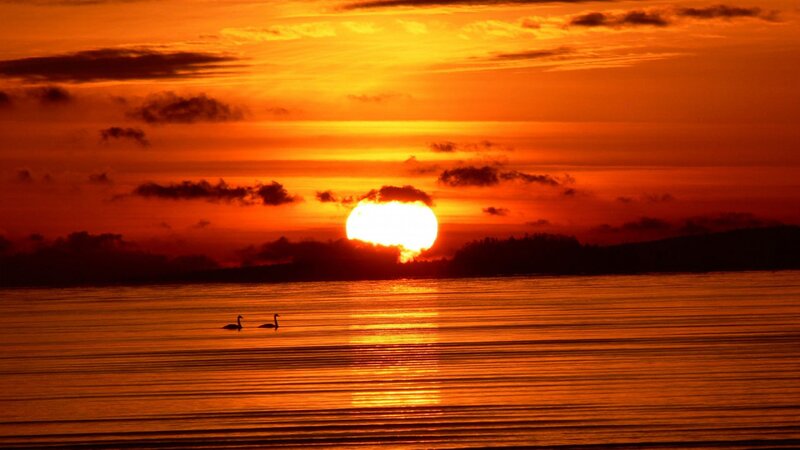 Two Swans on Water — Orange, Serene, Sunset, Photograph, Sun, Clouds
