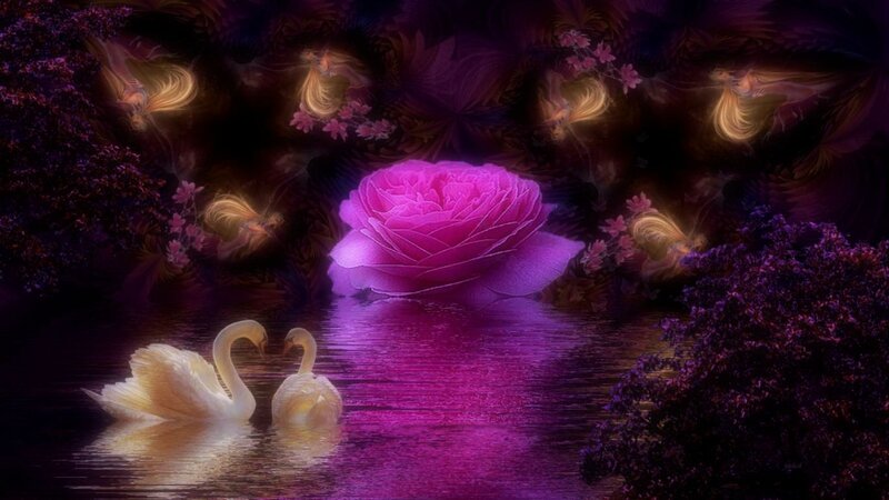 Two Swans on Water — Purple, Dreamy, Night