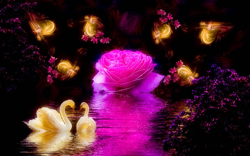 Two Swans on Water — Purple, Dreamy