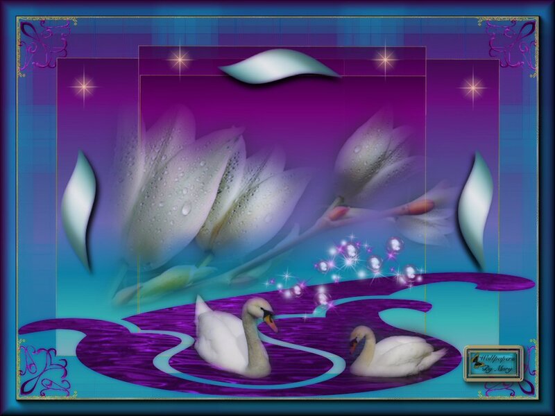 Two Swans on Water — Purple, Serene, Night