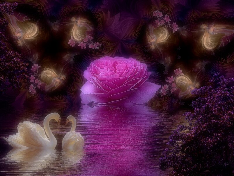 Two Swans on Water — Purple