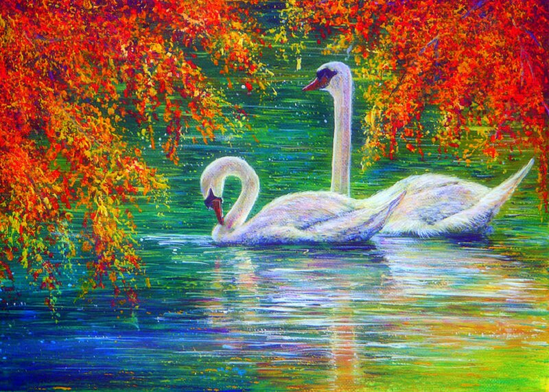 Two Swans on Water — Red