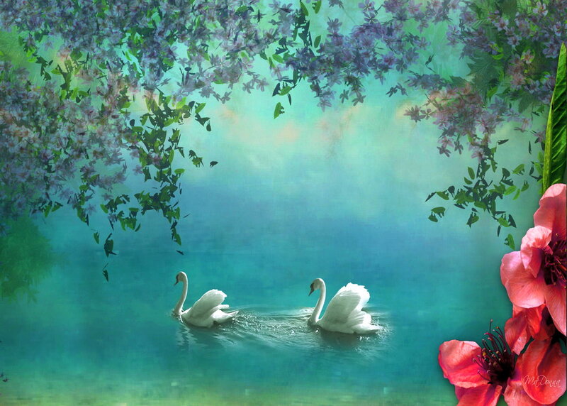 Two Swans on Water — Teal, Serene, Spring, Digital Art