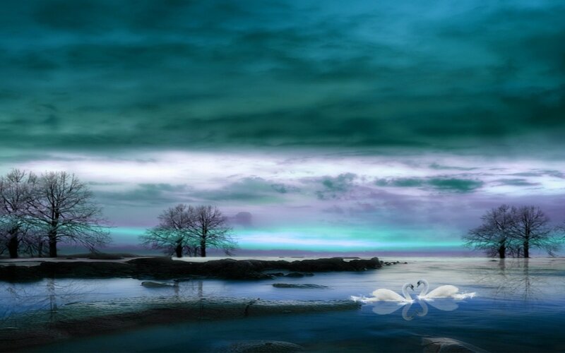 Two Swans on Water — Teal