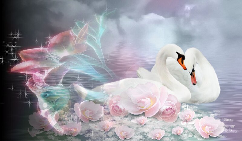 Two Swans on Water — White, Serene, Digital Art, Roses