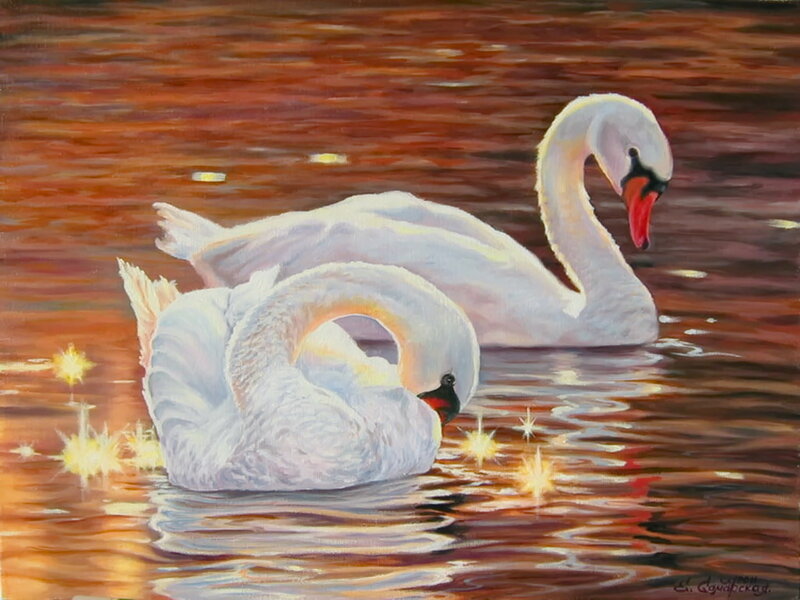 Two Swans on Water — White, Serene, Sunset, Painting, Sunlight