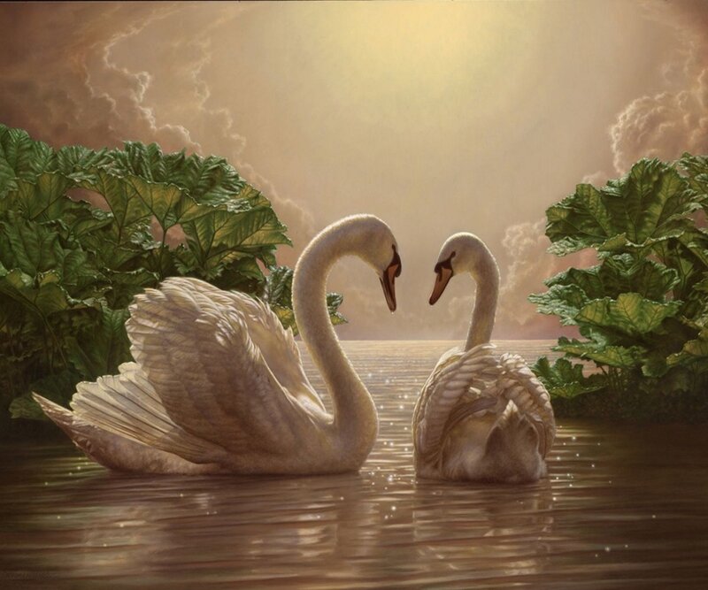 Two Swans on Water — White, Serene, Sunset, Painting