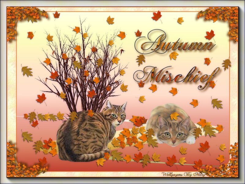 Two Tabby Cats in Autumn