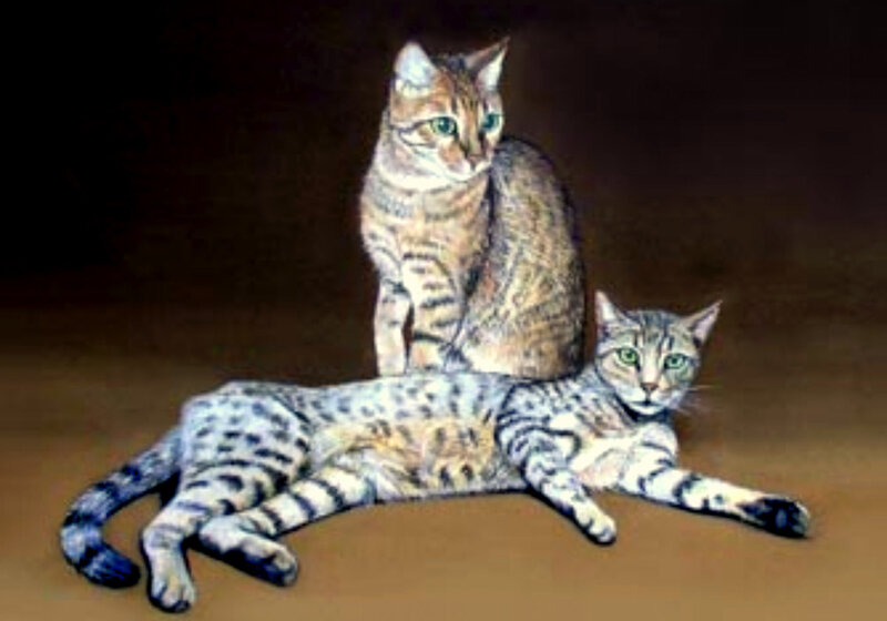 Two tabby cats posing