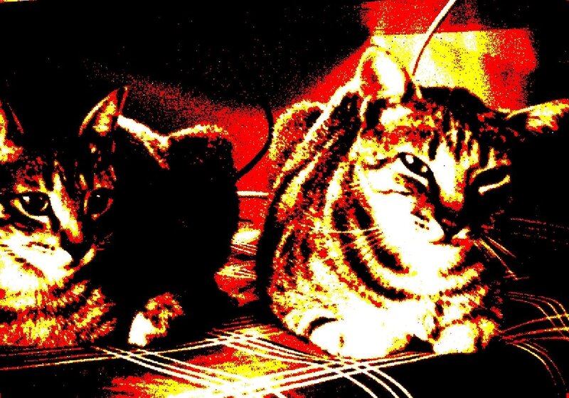 Two Tabby Cats — Red, Dramatic