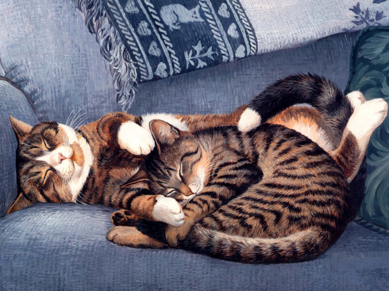 Two Tabby Cats Sleeping — Blue, Peaceful