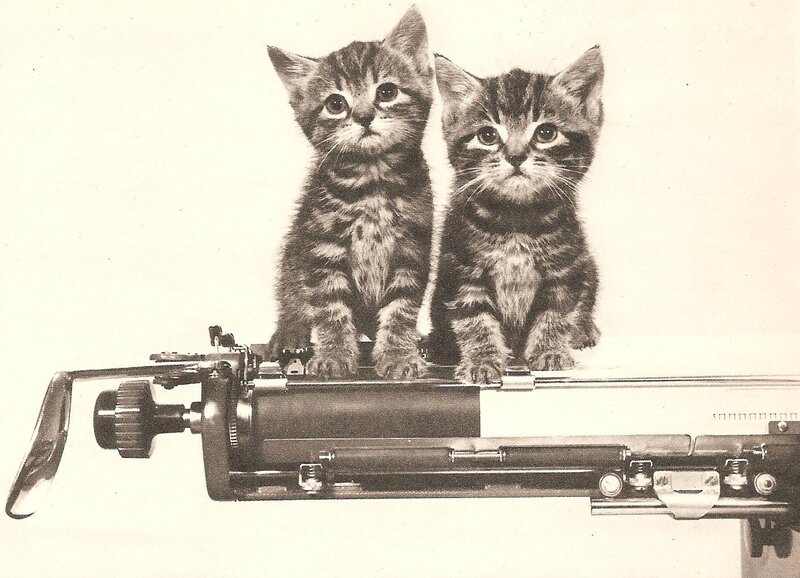 Two Tabby Kittens — Black, Innocent