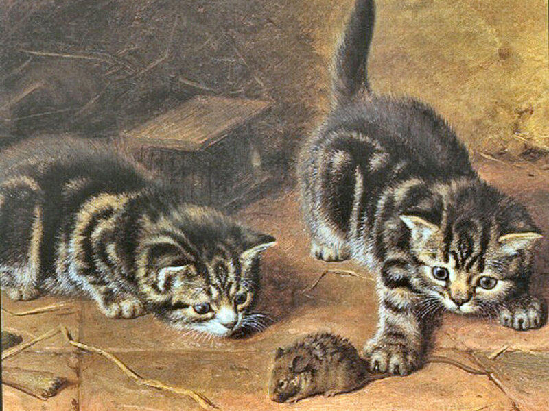 Two Tabby Kittens — Brown, Curious, Painting