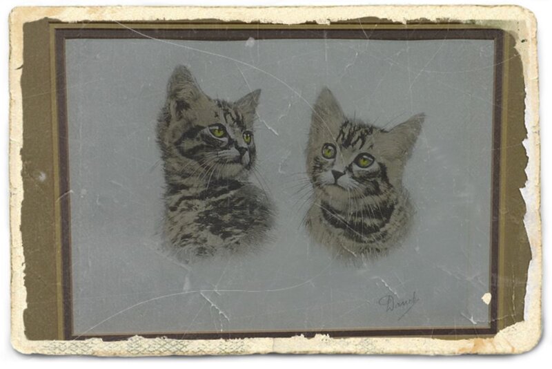 Two Tabby Kittens — Gray, Calm, Illustration