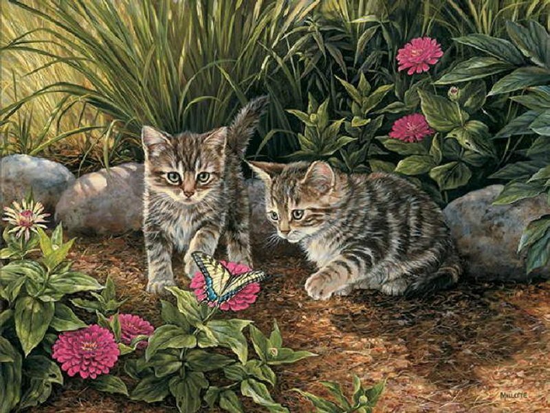 Two Tabby Kittens — Green, Serene
