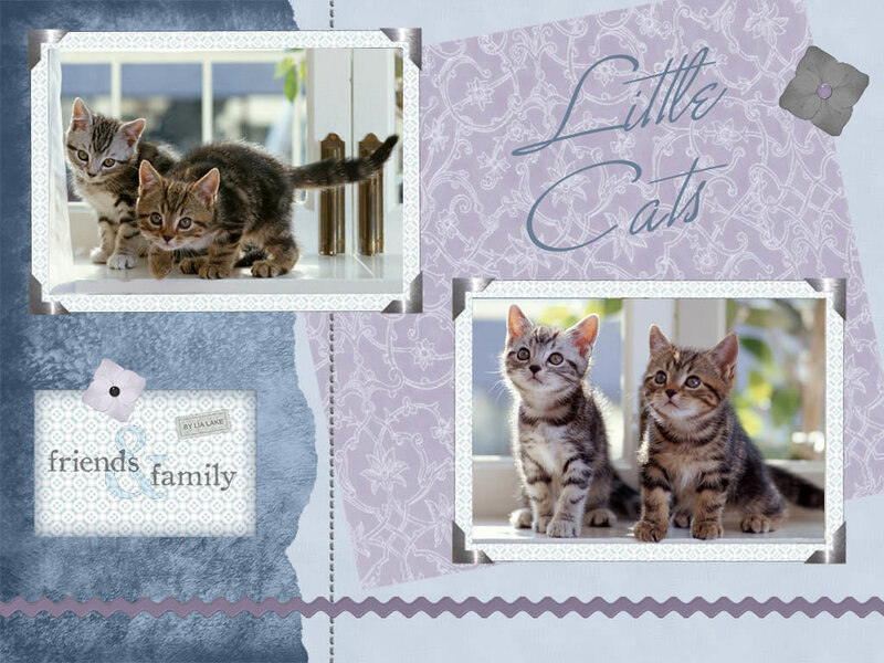 Two Tabby Kittens