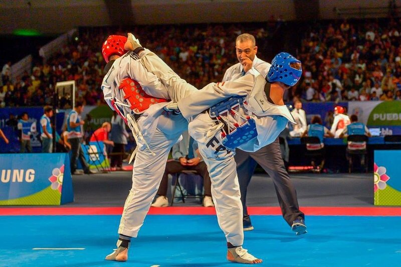 Two Taekwondo Fighters — Blue, Competitive, Photograph, Referee, Crowd
