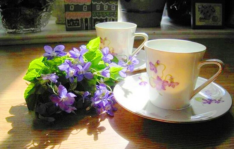 Two Teacups with Violets