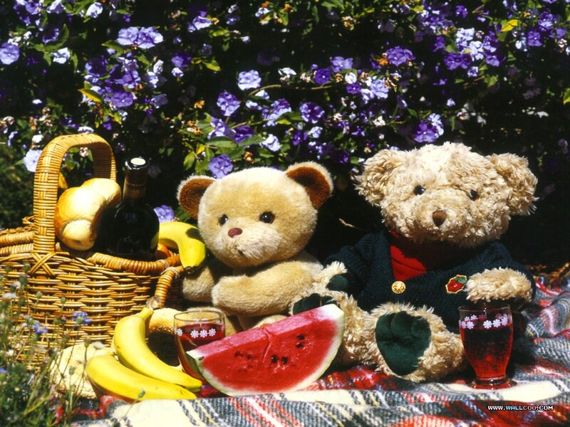 Two Teddy Bears at Picnic — Purple