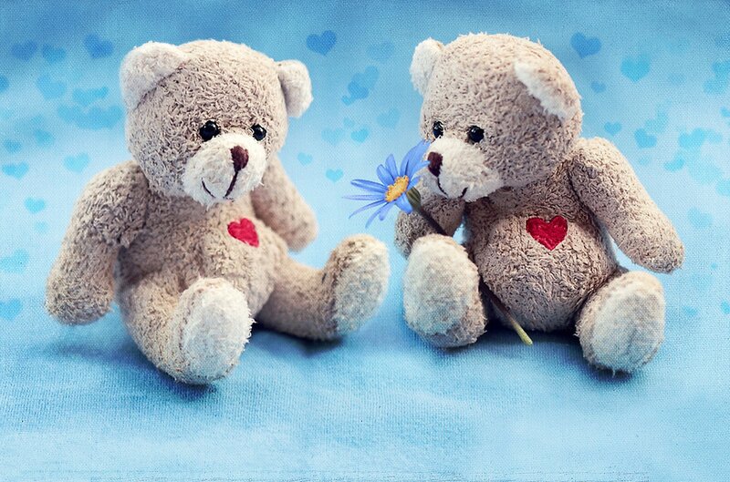 Two Teddy Bears — Blue, Calm