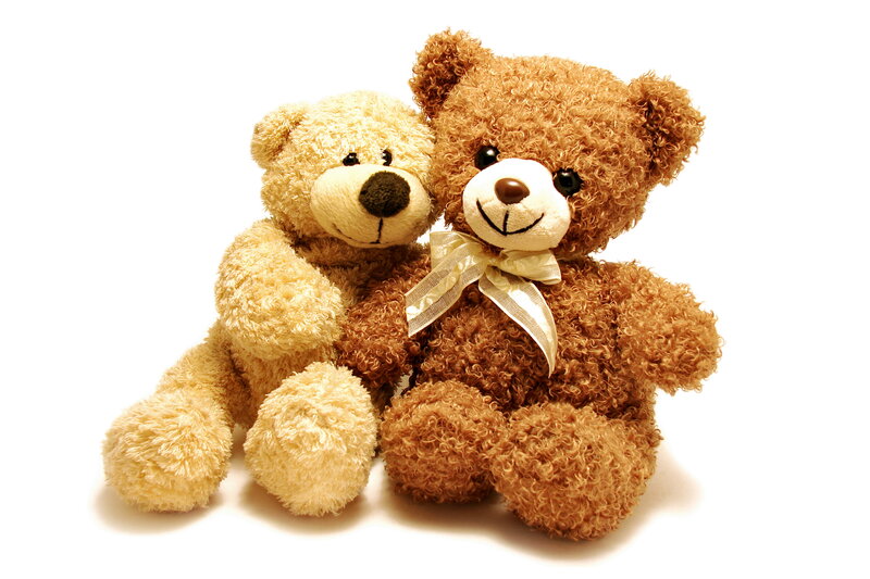Two Teddy Bears — Brown, Calm, Photograph, Bow