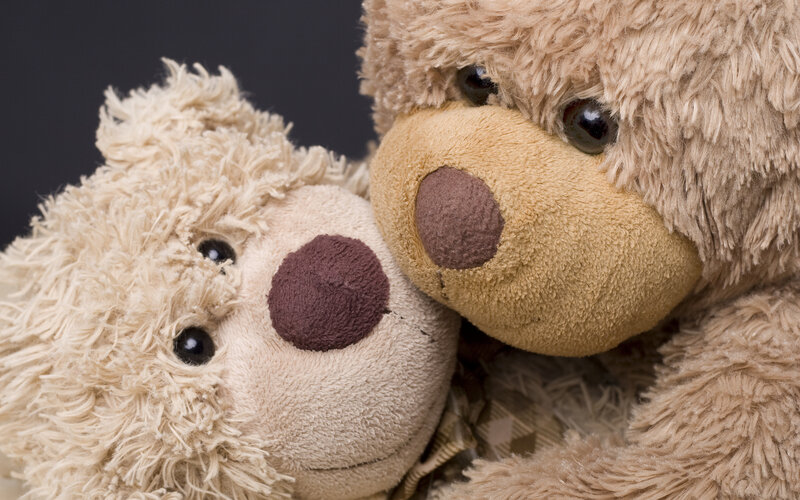 Two Teddy Bears — Brown, Calm, Photograph, Eyes, Noses
