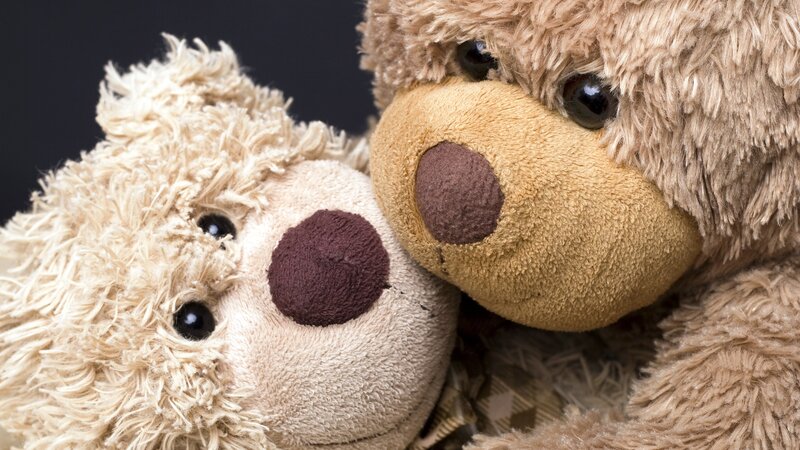 Two Teddy Bears — Brown, Calm, Photograph, Eyes