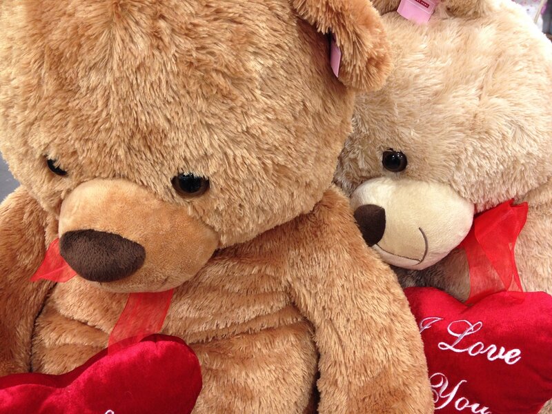 Two Teddy Bears — Brown, Calm, Photograph, Hearts