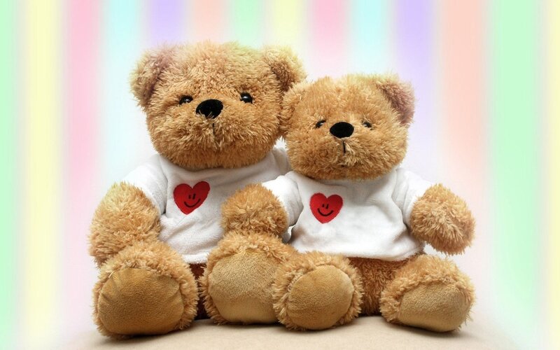Two Teddy Bears — Brown, Calm, Photograph, T-shirts