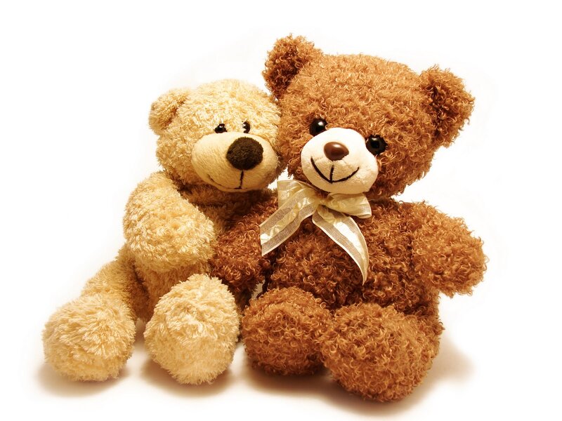 Two Teddy Bears — Brown, Calm