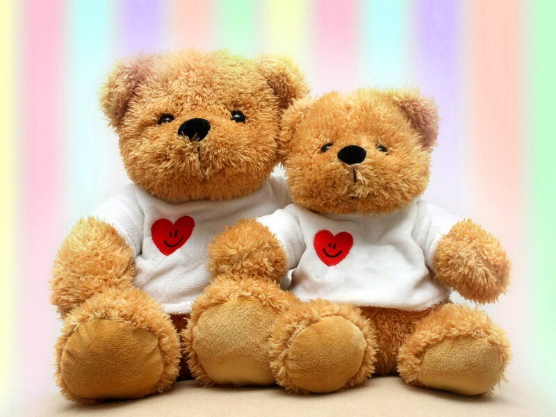 Two Teddy Bears — Brown, Cheerful, Photograph, T-shirts