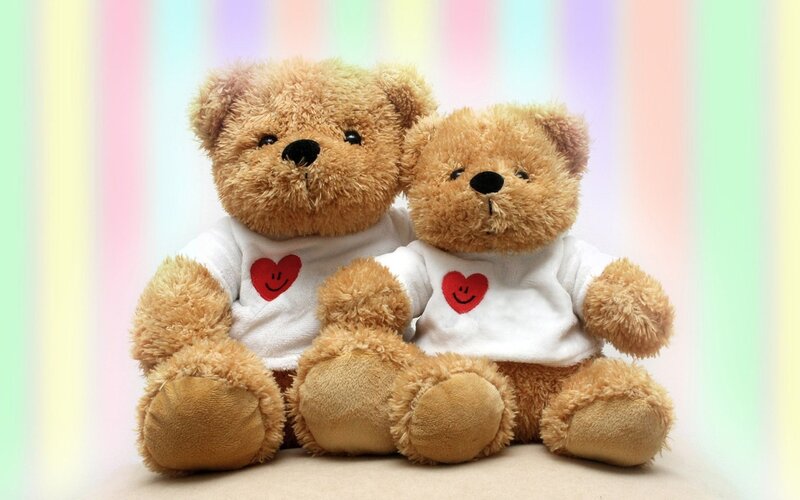Two Teddy Bears — Brown, Cheerful, Photograph