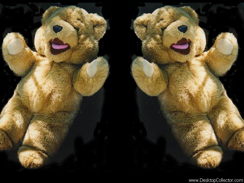 Two Teddy Bears — Brown, Playful