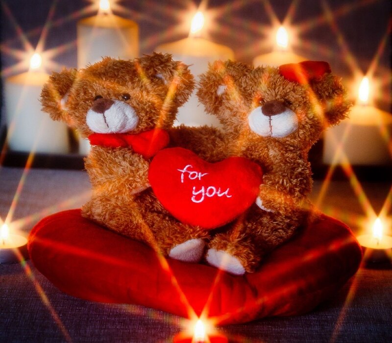 Two Teddy Bears — Brown, Romantic, Night