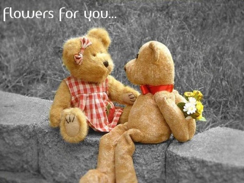 Two Teddy Bears — Brown, Romantic, Photograph