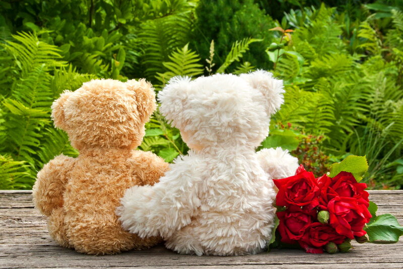 Two Teddy Bears — Brown, Serene, Afternoon