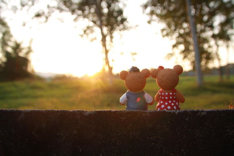 Two Teddy Bears — Brown, Serene, Sunset