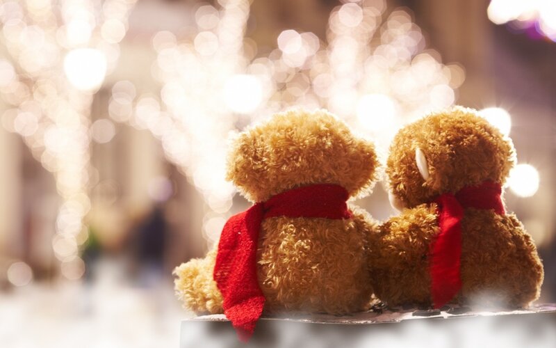 Two Teddy Bears — Brown, Warm