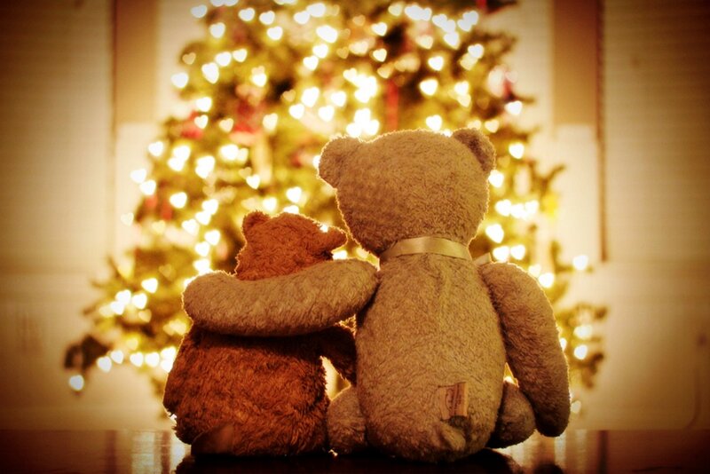 Two Teddy Bears — Brown, Warm, Winter