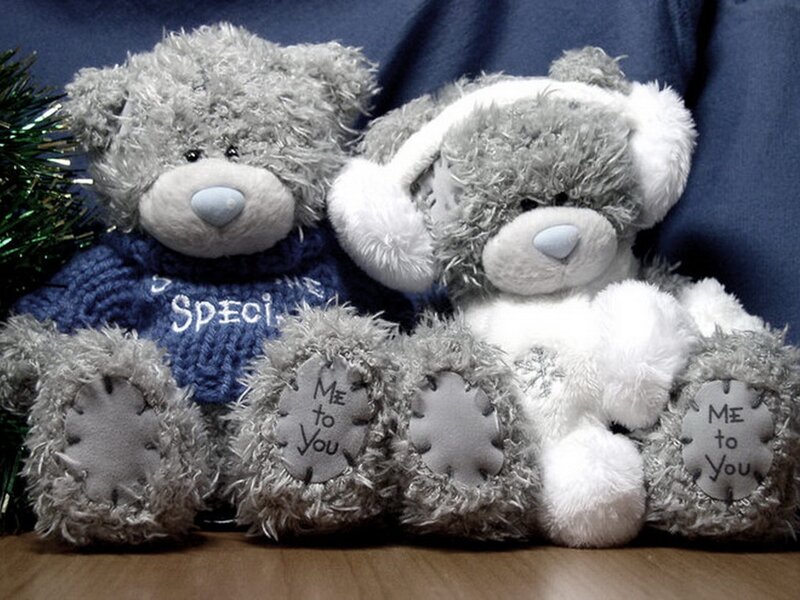 Two Teddy Bears — Gray