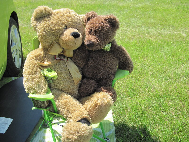 Two Teddy Bears — Green
