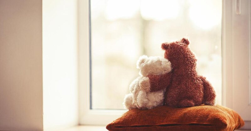 Two Teddy Bears Hugging — Brown, Calm