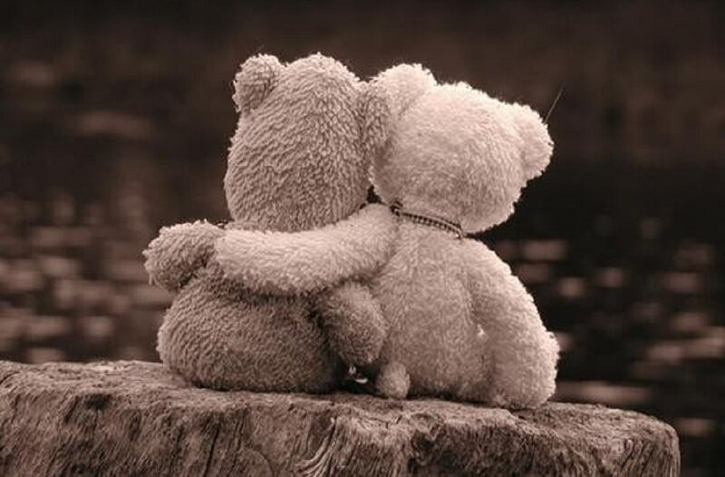 Two Teddy Bears Hugging — Brown