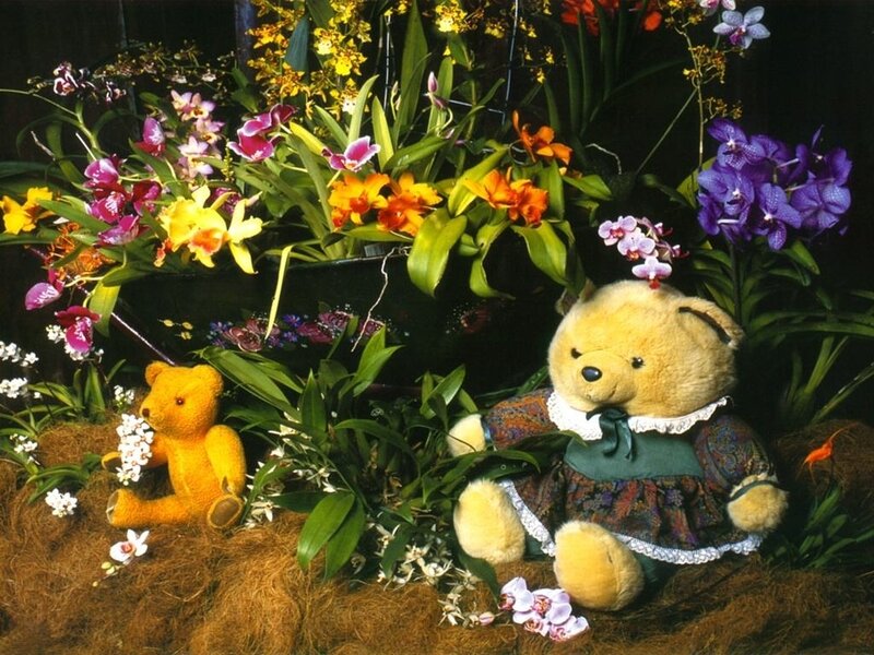Two Teddy Bears in Flowers — Yellow