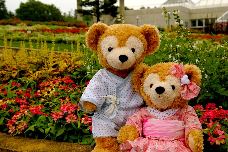 Two Teddy Bears in Garden — Brown