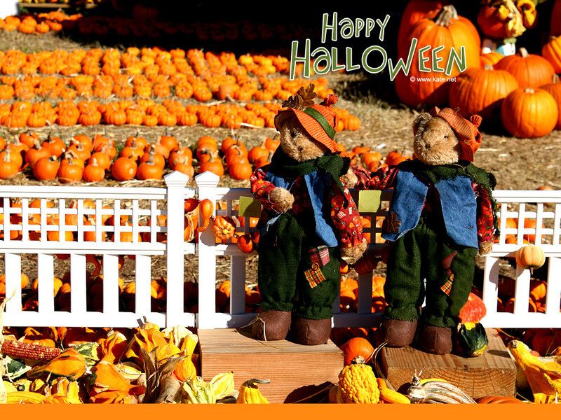 Two Teddy Bears in Scarecrow Costumes