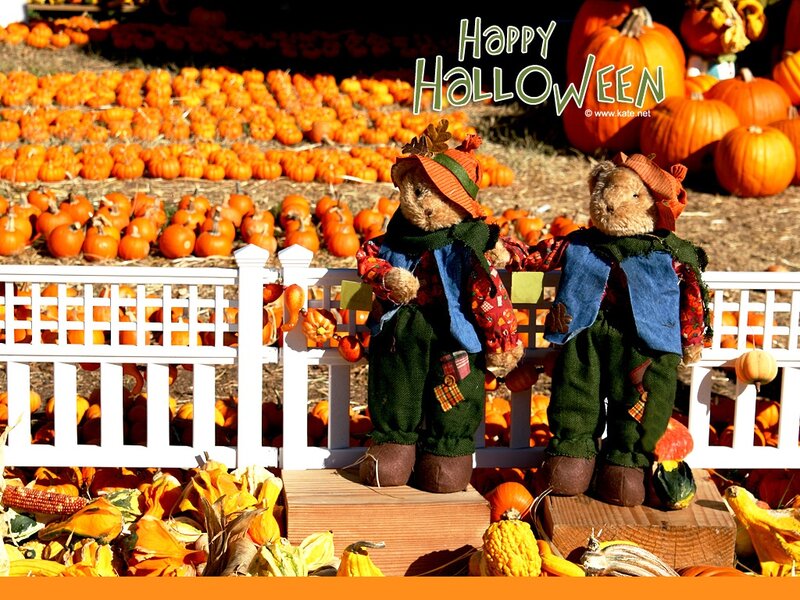 Two Teddy Bears in Scarecrow Outfits