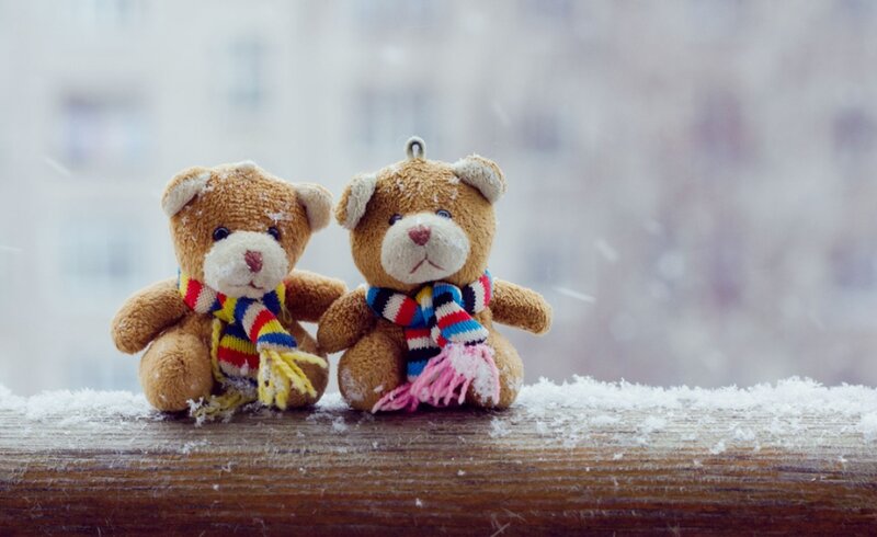 Two Teddy Bears in Snow — Brown