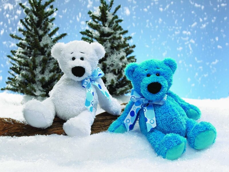 Two Teddy Bears in Snow — White